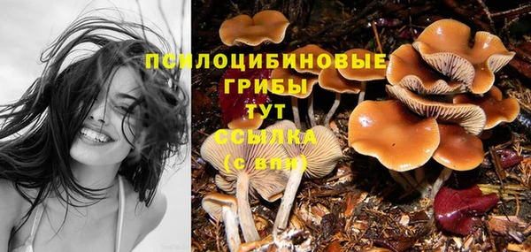 спиды Горно-Алтайск