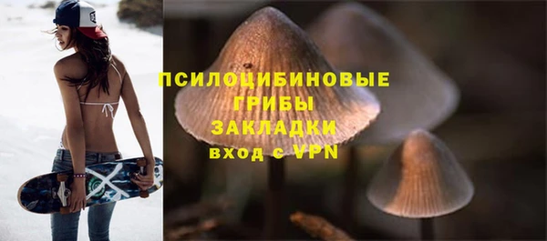 a pvp Горнозаводск