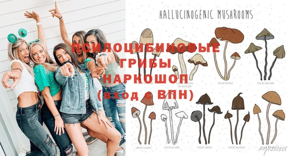 спиды Горно-Алтайск