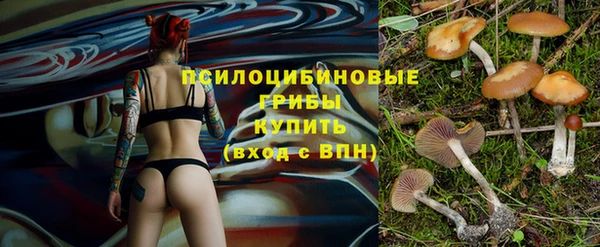 a pvp Горнозаводск