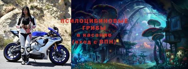 a pvp Горнозаводск