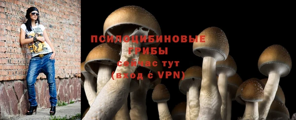 спиды Горно-Алтайск