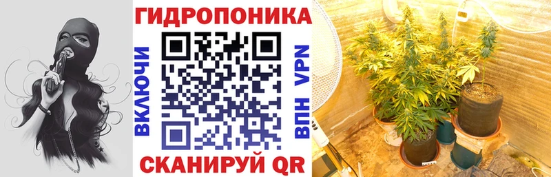 Шишки марихуана VHQ  где купить   Находка 